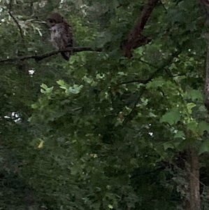 Meet your Posher, Debra